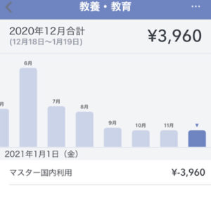 費目(12月の教育費)